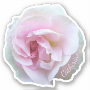 Light Pink Rose Custom Name Sticker