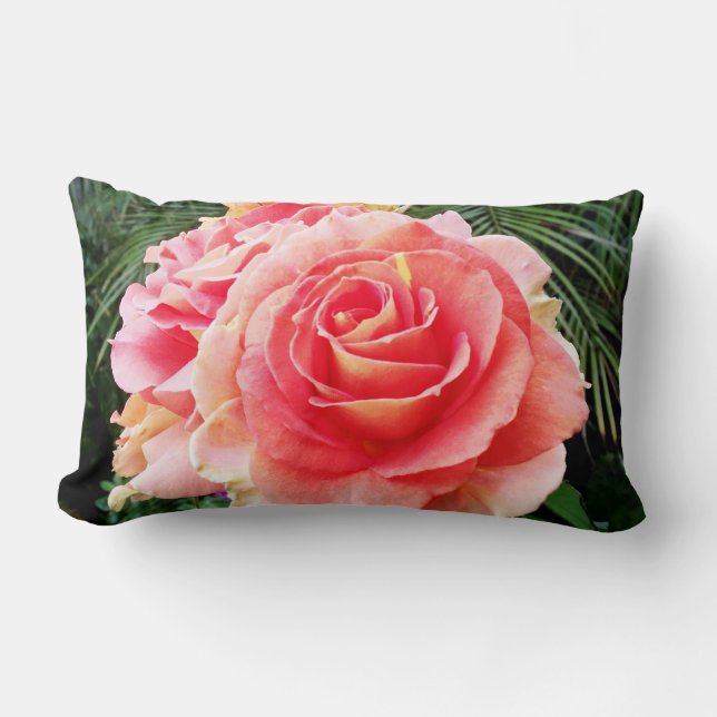 Light pink rose flower close-up photo bold modern lumbar cushion (Front)