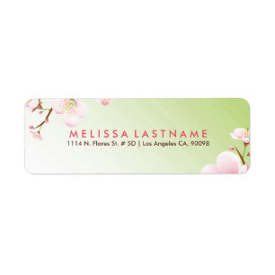Light pink Spring Blossom Light Green Background