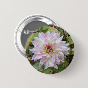 Light Pink Tipped Dahlia 6 Cm Round Badge