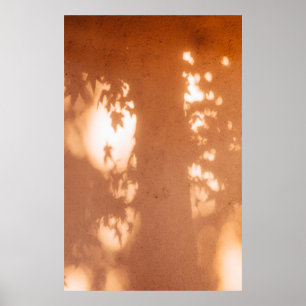 Light Poster