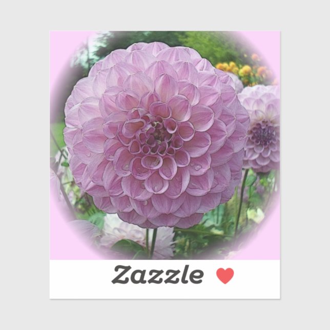 Light Purple Dahlia In Full Bloom (Sheet)