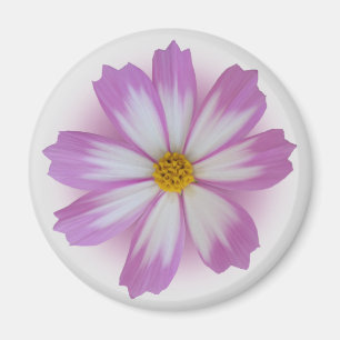 Light purple flower magnet