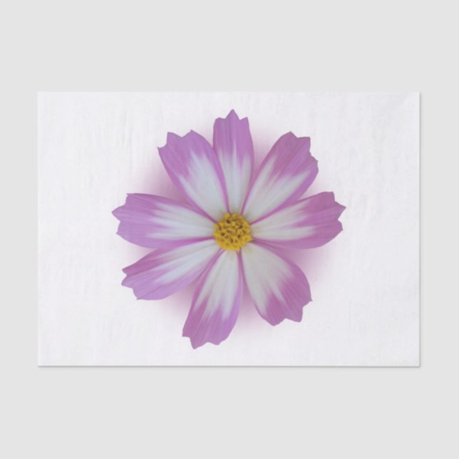 Light purple flower tissue paper (Front)