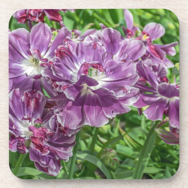 Light purple flowers hard plastic coasters (Front)
