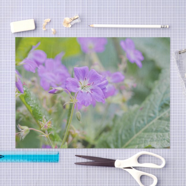Light Purple Geranium Wildflower Botanical Photo Tissue Paper (Craft)
