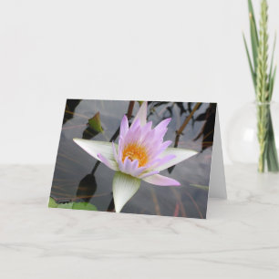 Light Purple Water Lily Card