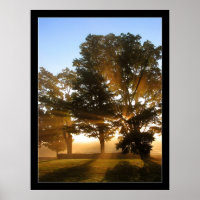 Light Rays 4