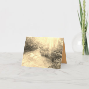 Light Rays and Bench Card