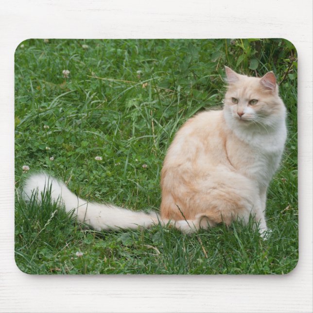 Light-Red Beauty Mouse Mat (Front)