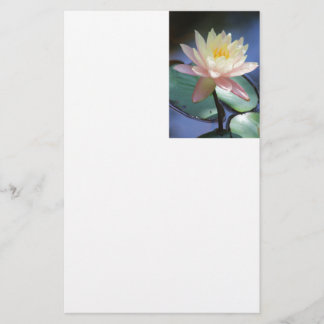 Light Reflection Stationery
