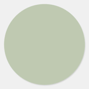 Light Sage Green Solid Color Classic Round Sticker