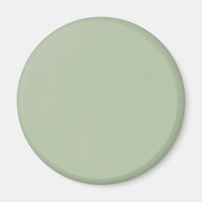 Light Sage Green Solid Colour Magnet (Front)