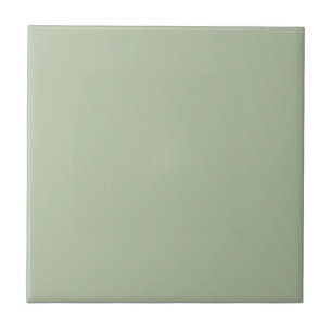Light Sage Green Solid Colour Tile