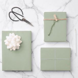 Light Sage Green Solid Colour Wrapping Paper Sheet
