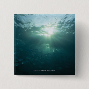 Light shining on coral reef and school of fish 15 cm square badge