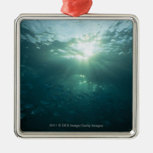 Light shining on coral reef and school of fish metal tree decoration