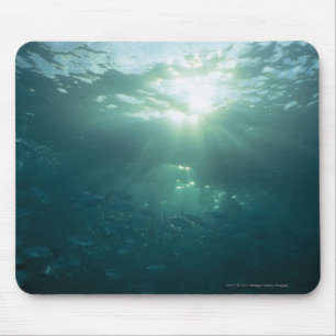 Light shining on coral reef and school of fish mouse mat