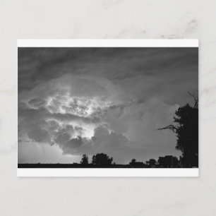 Light Show Black and White Postcard