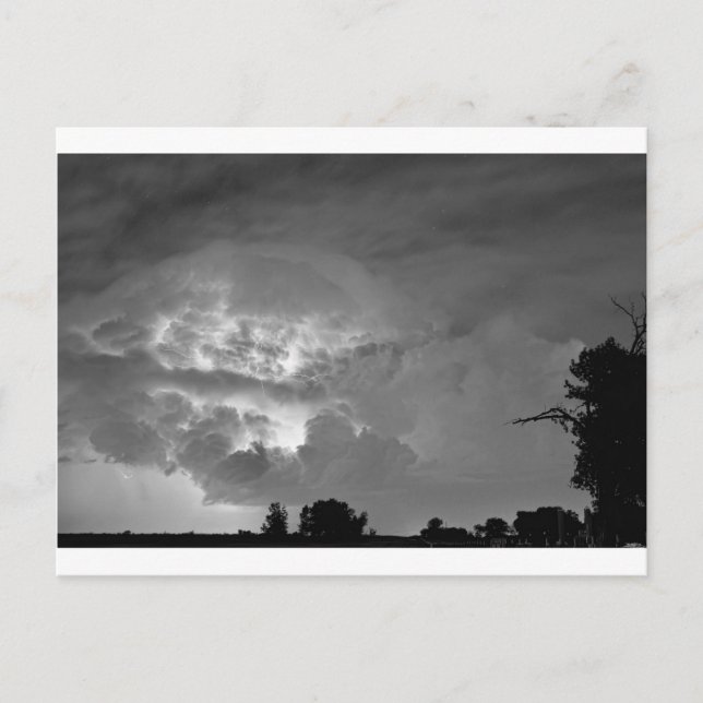 Light Show Black and White Postcard (Front)