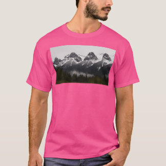 Light Snow In The Rockies Long T-Shirt