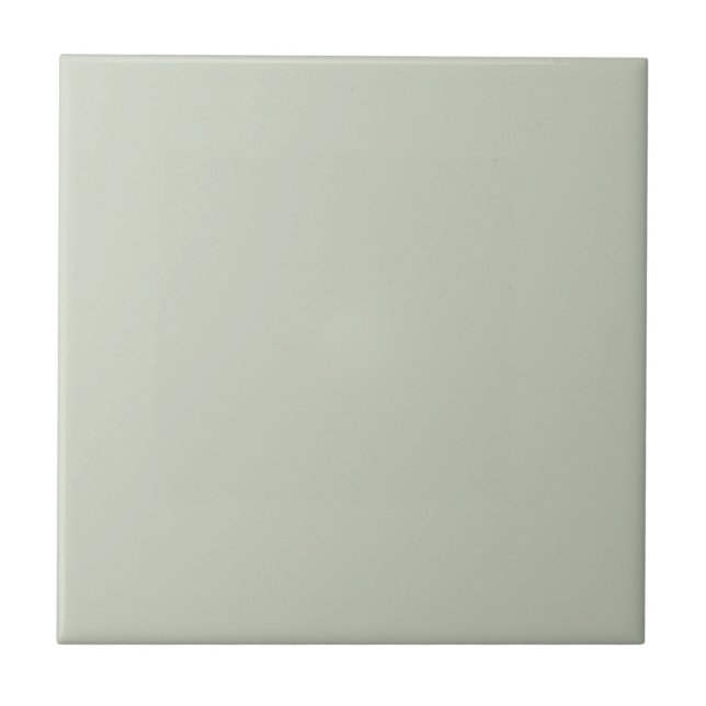 Light Tea Green Color Tile (Front)