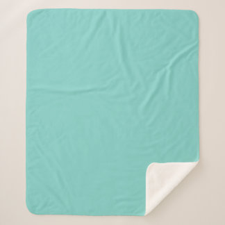 Light Teal Sherpa Blanket