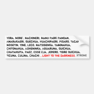 light to the darkness bumper sticker