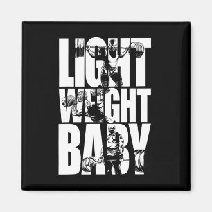 Light Weight Ba1 Magnet