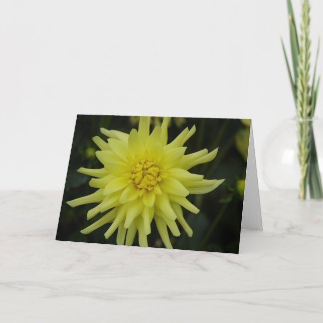 Light Yellow Flower Card (Front)
