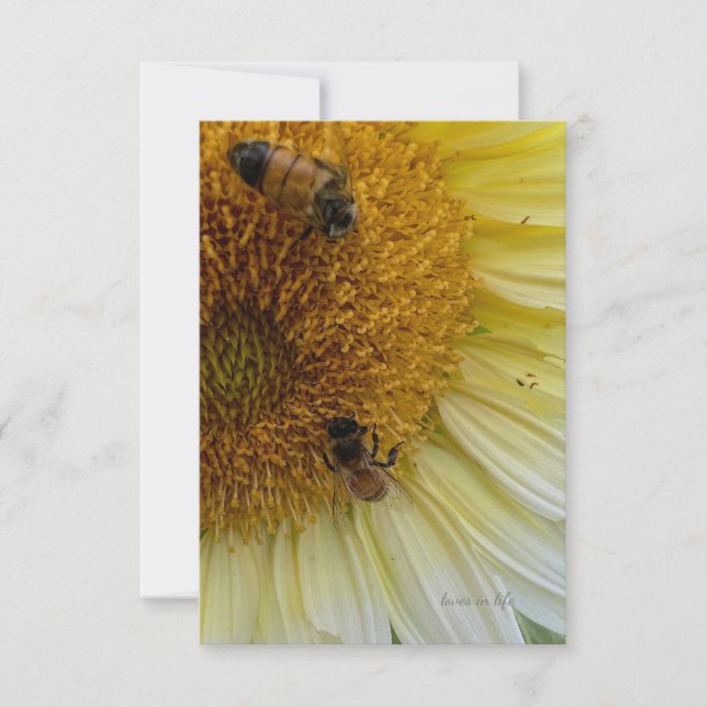 Light Yellow Sunflower & Bees Card (Front)