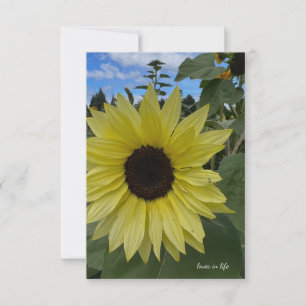 Light Yellow Sunflower & Blue Skies Card
