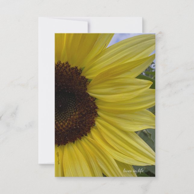 Light Yellow Sunflower Card (Front)