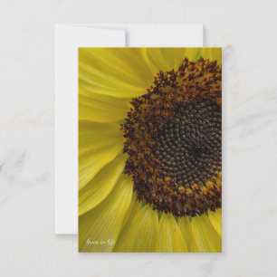 Light Yellow Sunflower Up-close Card