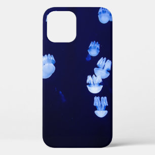 LIGHTED LANTERNS iPhone 12 CASE