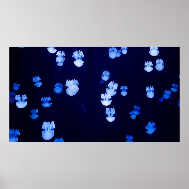 LIGHTED LANTERNS POSTER (Front)