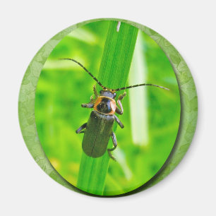 Lightening Bug Magnet