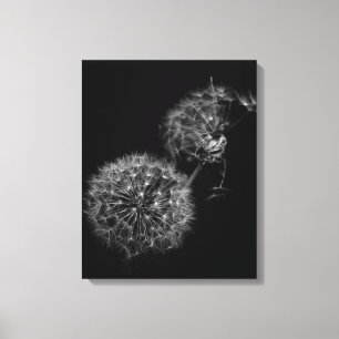 Lighter Than Air Canvas Print