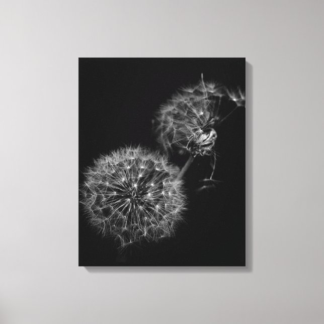 Lighter Than Air Canvas Print (Front)