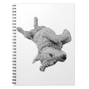 Lighthearted Lines Notebook