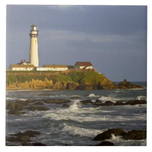 Lighthouse at Pigeon Point State Beach in San 2 Tile