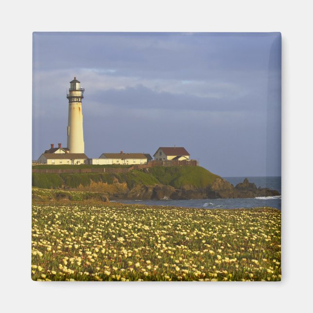 Lighthouse at Pigeon Point State Beach in San Magnet (Front)