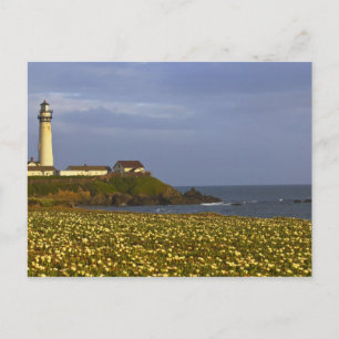Lighthouse at Pigeon Point State Beach in San Postcard