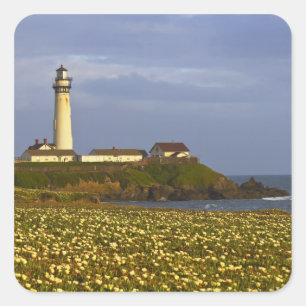Lighthouse at Pigeon Point State Beach in San Square Sticker