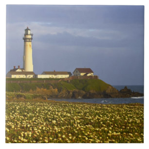 Lighthouse at Pigeon Point State Beach in San Tile