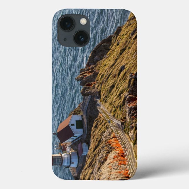 Lighthouse At Point Reyes National Seashore Case-Mate iPhone Case (Back)