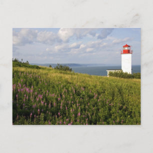 Lighthouse at St. Martins, New Brunswick, Postcard