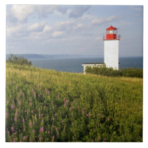 Lighthouse at St. Martins, New Brunswick, Tile