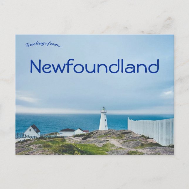 Lighthouse in Newfoundland Canada Postcard (Front)
