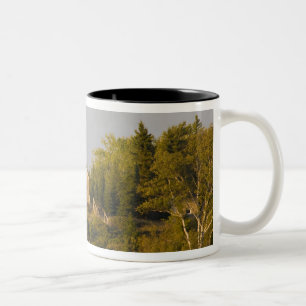 Lighthouse on Lake Superior near Copper Harbour Two-Tone Coffee Mug